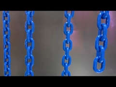 Injection Structure Black Plastic Chain Fence for Crowd Control Barrier Safety Chain