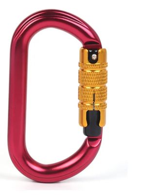 Electrolytic Treatment Climbing Hook