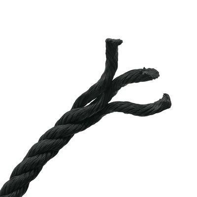 Good price PE Steel Grade 3-Strand Black Color Polyethylene Rope for Other Processing Service within 18mm online
