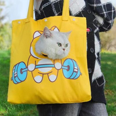 Good price Cute Durable Pet Carrier Bag for Small Dogs and Cats Fun Printed Canvas, Travel-Friendly online