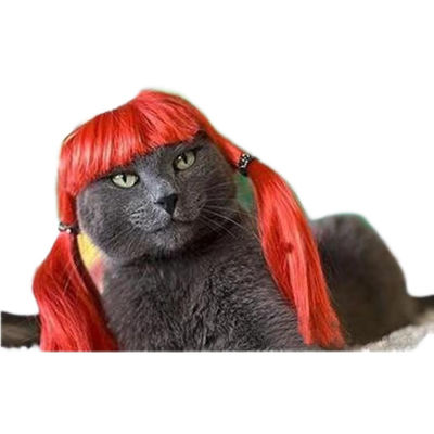 Good price Elegant Black Curly Pet Wig for Cats and Dogs - Luxurious Soft Adjustable Perfect for Formal Events and Photoshoots online
