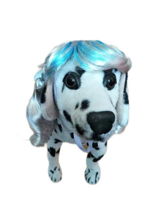 Good price Wild Zebra Stripe Pet Wig for Dogs and Cats , Unique Eye-Catching for Safari-Themed Parties online