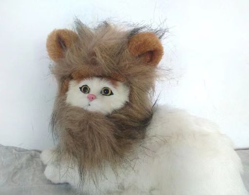 Good price Adjustable and Breathable Cat Wig Soft Fluffy and Perfect for All Breeds Ideal for Halloween / Cosplay online