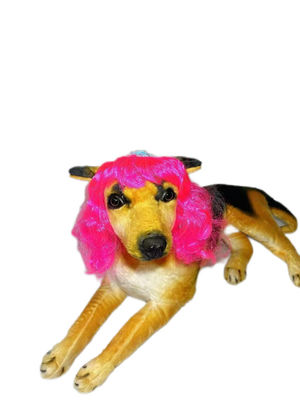 Good price Rainbow Colors Sturdy Nylon Pet Toupees One Size Fits All Quick-Dry Material Ideal for All Seasons and Adventure online